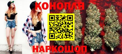 spice Кунгур
