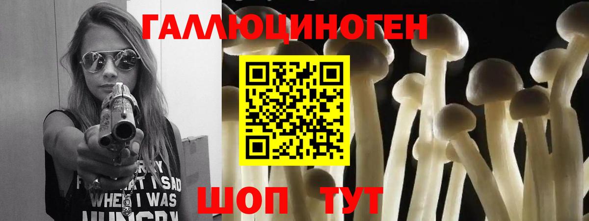 Ишим  Псилоцибиновые грибы GOLDEN TEACHER  Псилоцибиновые грибы мицелий  Вход с VPN 